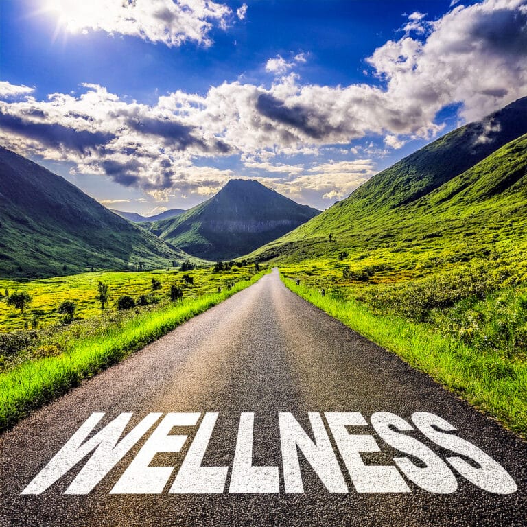wellness written on a road heading towards mountains - the road to wellness